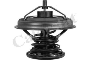 Calorstat By Vernet Θερμοστάτης, Ψυκτικό Υγρό - TH6242.92J