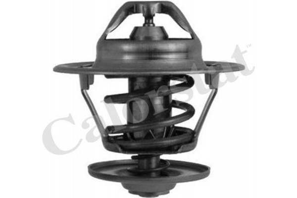 Calorstat By Vernet Θερμοστάτης, Ψυκτικό Υγρό - TH6248.87J