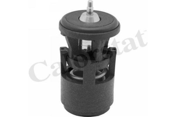 Calorstat By Vernet Θερμοστάτης, Ψυκτικό Υγρό - TH6274.87J