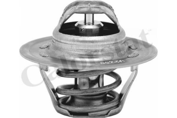 Calorstat By Vernet Θερμοστάτης, Ψυκτικό Υγρό - TH6276.87J