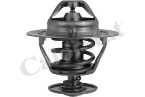 Calorstat By Vernet Θερμοστάτης, Ψυκτικό Υγρό - TH6294.88J