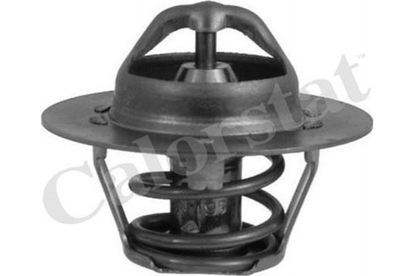 Calorstat By Vernet Θερμοστάτης, Ψυκτικό Υγρό - TH6318.89J