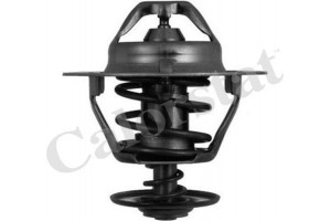 Calorstat By Vernet Θερμοστάτης, Ψυκτικό Υγρό - TH6319.85J