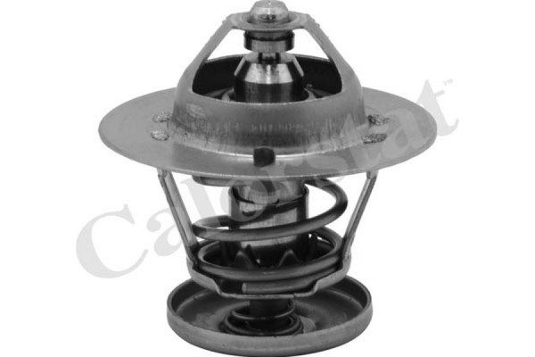 Calorstat By Vernet Θερμοστάτης, Ψυκτικό Υγρό - TH6580.88J