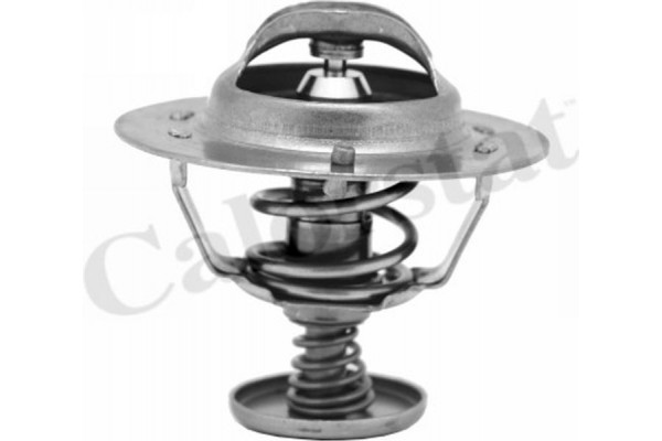 Calorstat By Vernet Θερμοστάτης, Ψυκτικό Υγρό - TH6583.88J