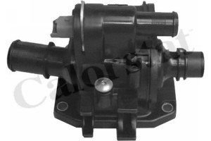 Calorstat By Vernet Θερμοστάτης, Ψυκτικό Υγρό - TH6874.83J