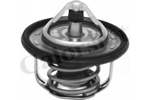 Calorstat By Vernet Θερμοστάτης, Ψυκτικό Υγρό - TH7300.95J