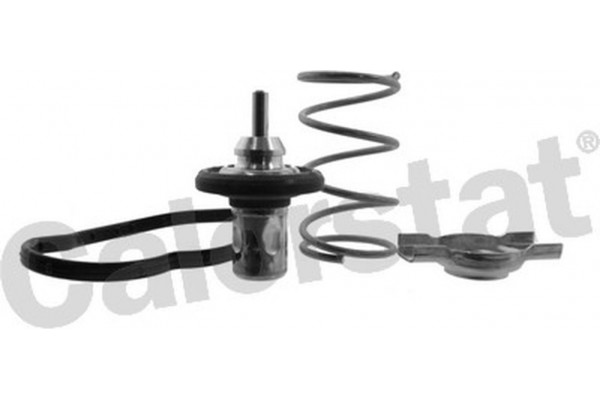 Calorstat By Vernet Θερμοστάτης, Ψυκτικό Υγρό - THK7276.83J