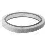 Champion Φίλτρο Αέρα - W251/606