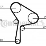 Continental Ctam Αντλία Νερού + Σετ Οδοντωτού Ιμάντα - CT1025WP2