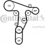 Continental Ctam Αντλία Νερού + Σετ Οδοντωτού Ιμάντα - CT1139WP8PRO