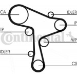 Continental Ctam Αντλία Νερού + Σετ Οδοντωτού Ιμάντα - CT1168WP9