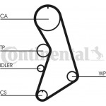 Continental Ctam Αντλία Νερού + Σετ Οδοντωτού Ιμάντα - CT909WP2