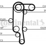 Continental Ctam Αντλία Νερού + Σετ Οδοντωτού Ιμάντα - CT957WP1