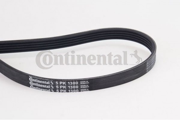 Continental Ctam Ιμάντας poly-V - 5PK1300