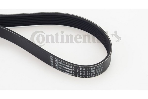 Continental Ctam Ιμάντας poly-V - 7PK1165