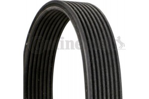 Continental Ctam Ιμάντας poly-V - 8DPK1827