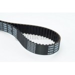 Continental Ctam Οδοντωτός Ιμάντας - CT1008 Continental Ctam Οδοντωτός Ιμάντας - CT1008