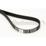 Continental Ctam Οδοντωτός Ιμάντας - CT1043