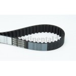 Continental Ctam Οδοντωτός Ιμάντας - CT1137 Continental Ctam Οδοντωτός Ιμάντας - CT1137