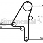 Continental Ctam Οδοντωτός Ιμάντας - CT1010