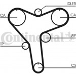 Continental Ctam Οδοντωτός Ιμάντας - CT1029