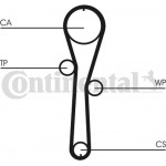 Continental Ctam Οδοντωτός Ιμάντας - CT1045