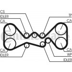 Continental Ctam Οδοντωτός Ιμάντας - CT1058