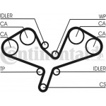 Continental Ctam Οδοντωτός Ιμάντας - CT1068