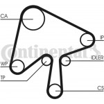 Continental Ctam Οδοντωτός Ιμάντας - CT1136 Continental Ctam Οδοντωτός Ιμάντας - CT1136