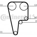 Continental Ctam Οδοντωτός Ιμάντας - CT1125