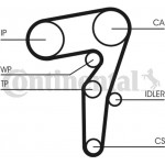 Continental Ctam Οδοντωτός Ιμάντας - CT1155 Continental Ctam Οδοντωτός Ιμάντας - CT1155
