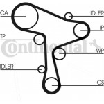 Continental Ctam Οδοντωτός Ιμάντας - CT1168 Continental Ctam Οδοντωτός Ιμάντας - CT1168