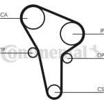 Continental Ctam Οδοντωτός Ιμάντας - CT513 Continental Ctam Οδοντωτός Ιμάντας - CT513