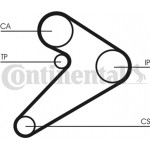 Continental Ctam Οδοντωτός Ιμάντας - CT517 Continental Ctam Οδοντωτός Ιμάντας - CT517