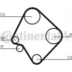 Continental Ctam Οδοντωτός Ιμάντας - CT532 Continental Ctam Οδοντωτός Ιμάντας - CT532