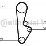 Continental Ctam Οδοντωτός Ιμάντας - CT559