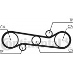 Continental Ctam Οδοντωτός Ιμάντας - CT581 Continental Ctam Οδοντωτός Ιμάντας - CT581