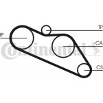 Continental Ctam Οδοντωτός Ιμάντας - CT612 Continental Ctam Οδοντωτός Ιμάντας - CT612