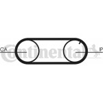 Continental Ctam Οδοντωτός Ιμάντας - CT641 Continental Ctam Οδοντωτός Ιμάντας - CT641
