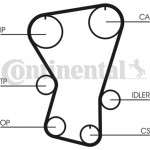 Continental Ctam Οδοντωτός Ιμάντας - CT677 Continental Ctam Οδοντωτός Ιμάντας - CT677