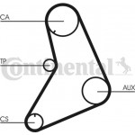 Continental Ctam Οδοντωτός Ιμάντας - CT687