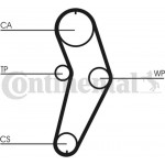 Continental Ctam Οδοντωτός Ιμάντας - CT709