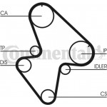 Continental Ctam Οδοντωτός Ιμάντας - CT710