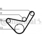 Continental Ctam Οδοντωτός Ιμάντας - CT714