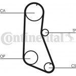 Continental Ctam Οδοντωτός Ιμάντας - CT716
