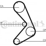 Continental Ctam Οδοντωτός Ιμάντας - CT750