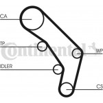 Continental Ctam Οδοντωτός Ιμάντας - CT755 Continental Ctam Οδοντωτός Ιμάντας - CT755