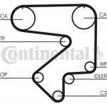Continental Ctam Οδοντωτός Ιμάντας - CT783