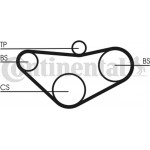 Continental Ctam Οδοντωτός Ιμάντας - CT800 Continental Ctam Οδοντωτός Ιμάντας - CT800